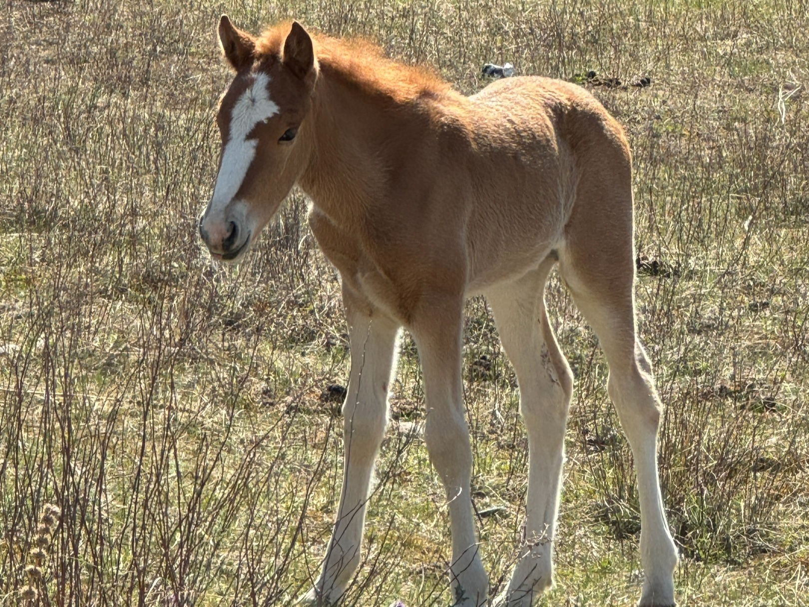 ООО "Маршруты Алтая" - фото 7