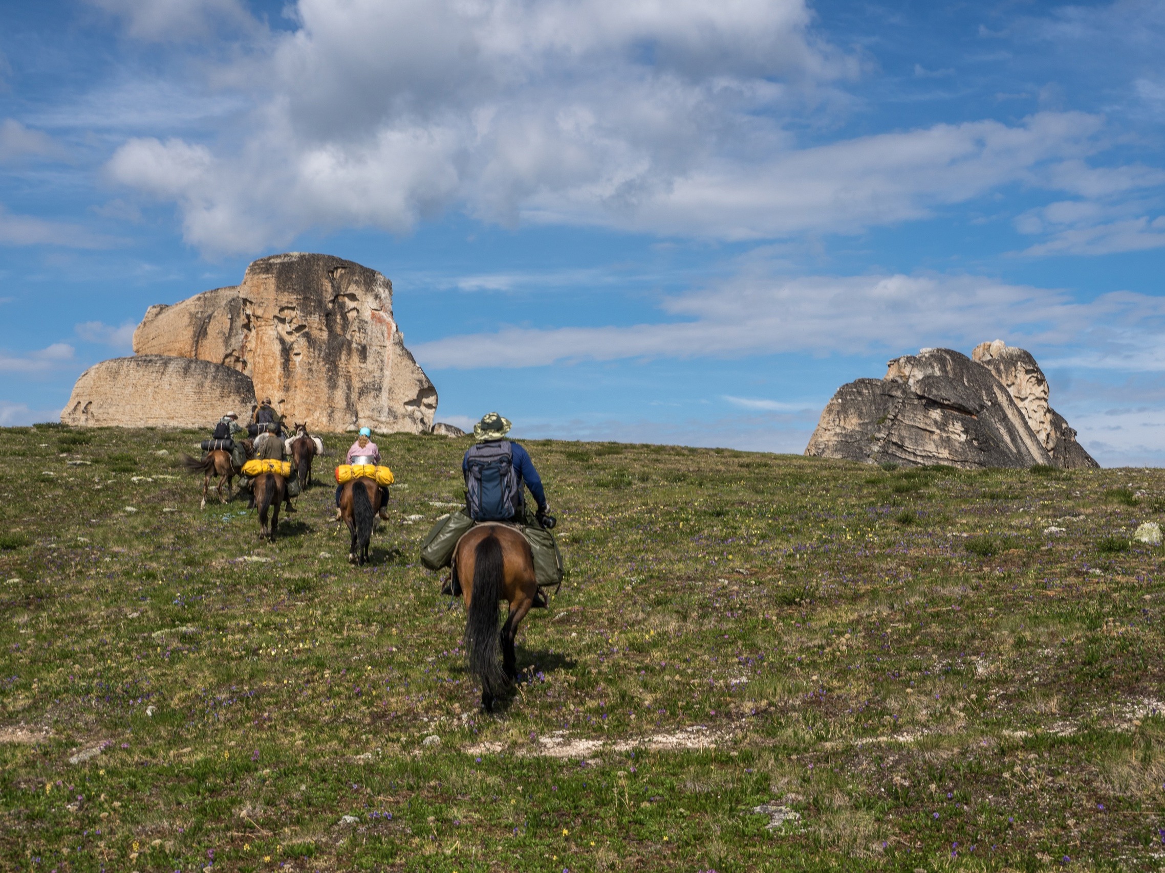 ООО "КОТИК-ТУР" - фото 1