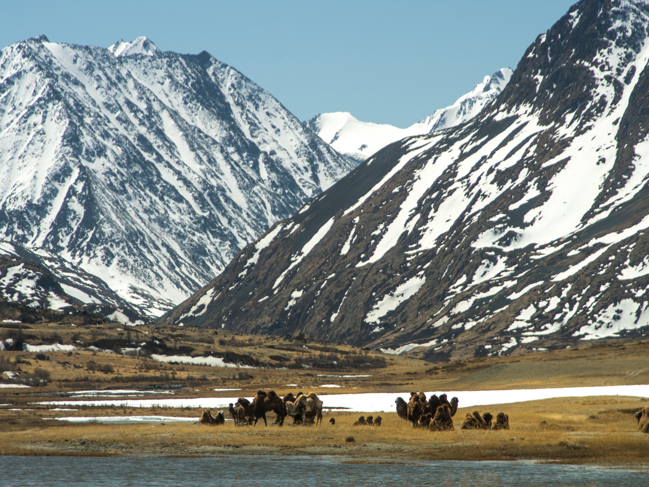 ООО "КОТИК-ТУР" - фото 3