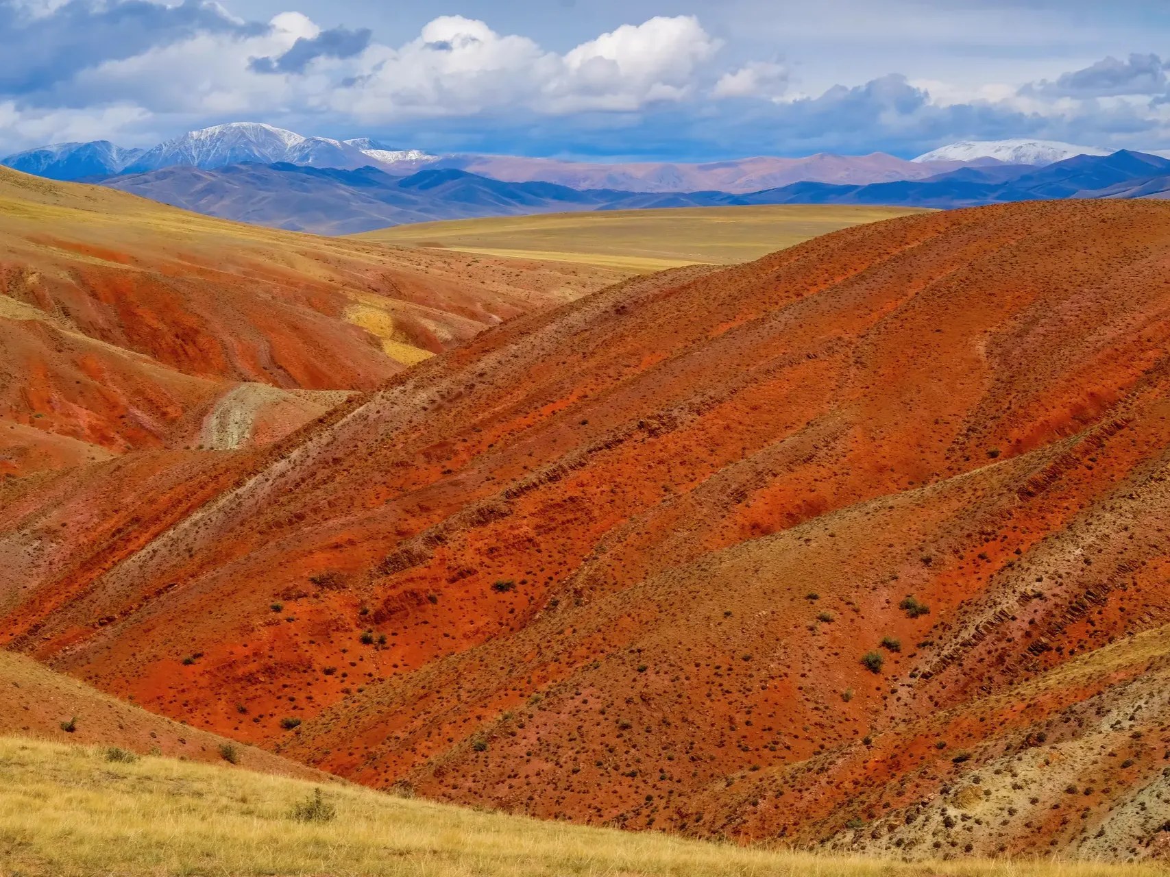 ООО "ТРАКТАТ" - фото 4