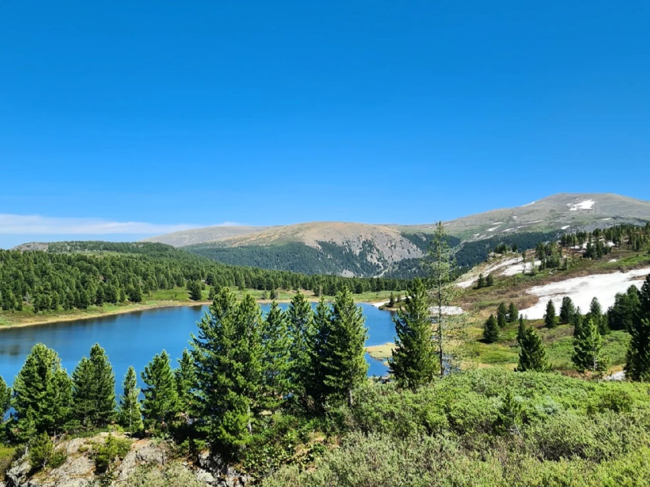 ООО "МАЯК АЛТАЯ" - фото 1