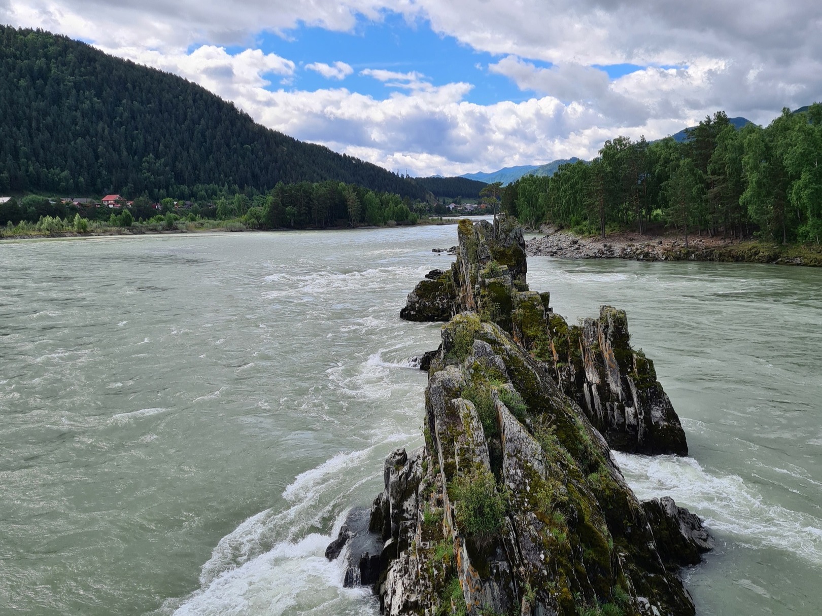 ООО "МАЯК АЛТАЯ" - фото 2