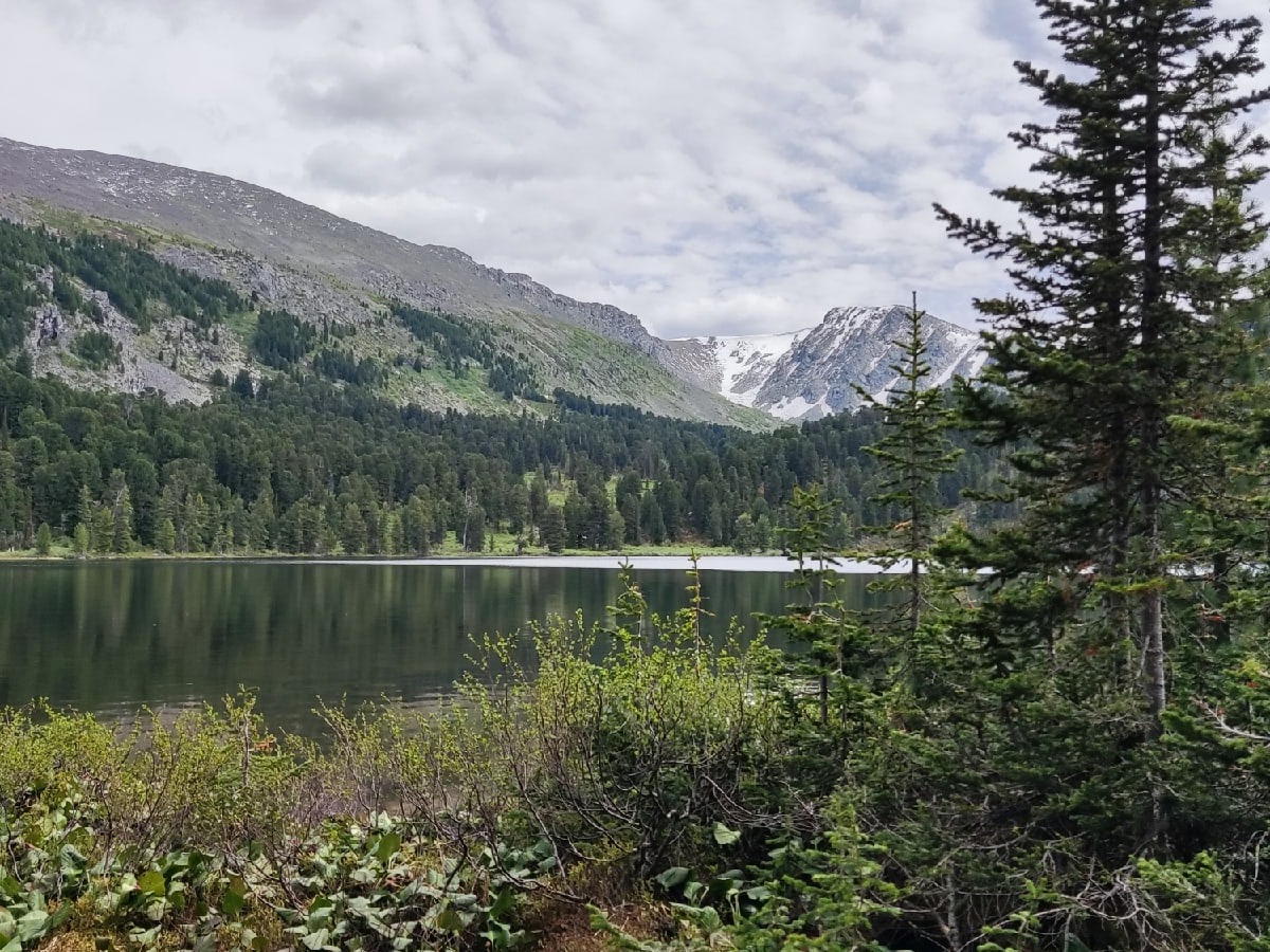 ООО "МАЯК АЛТАЯ" - фото 4