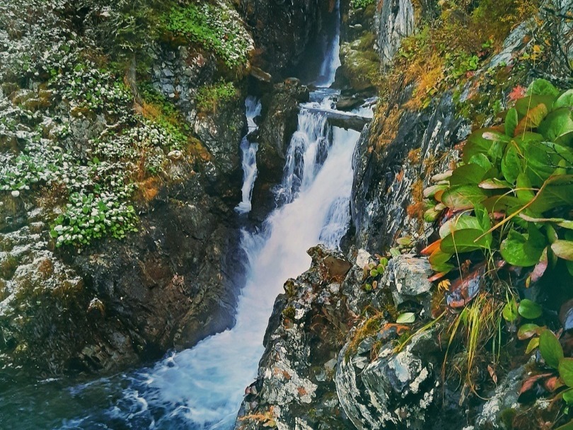 ООО "МАЯК АЛТАЯ" - фото 5