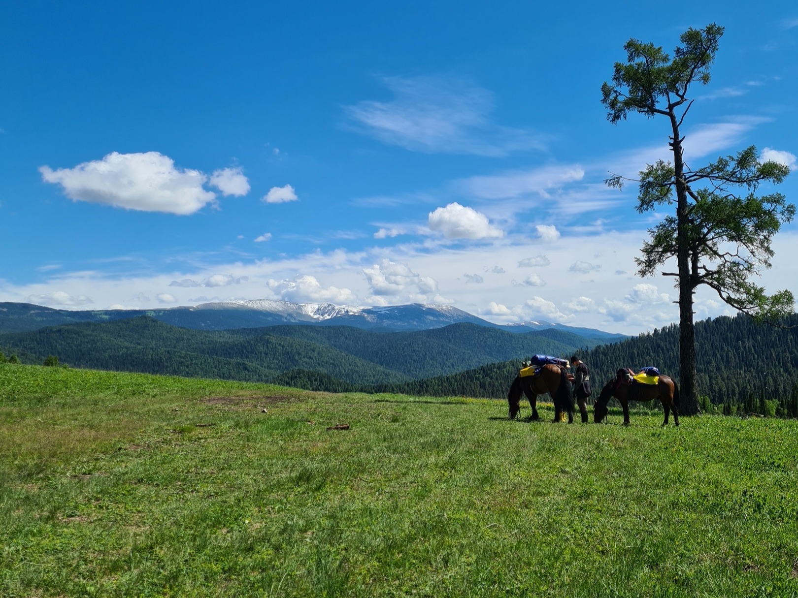 ООО "МАЯК АЛТАЯ" - фото 6