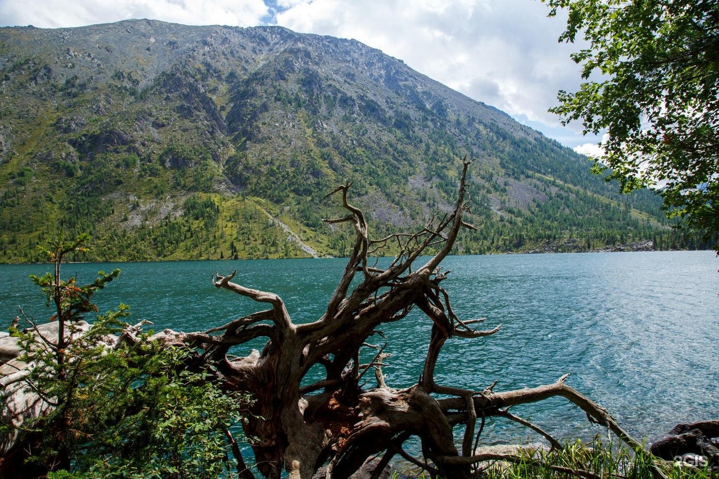 Огонёк - фото 7