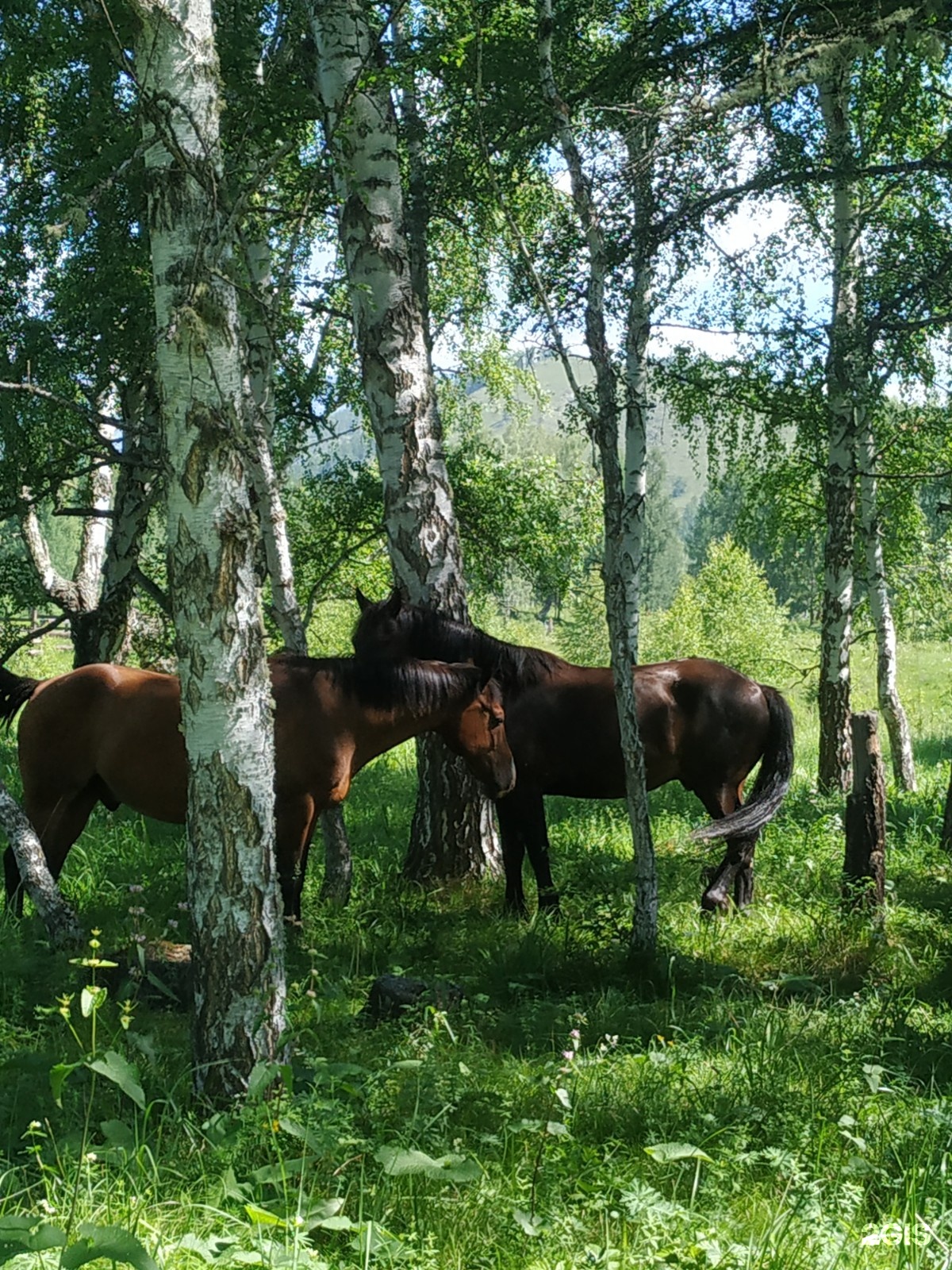 Огонёк - фото 12