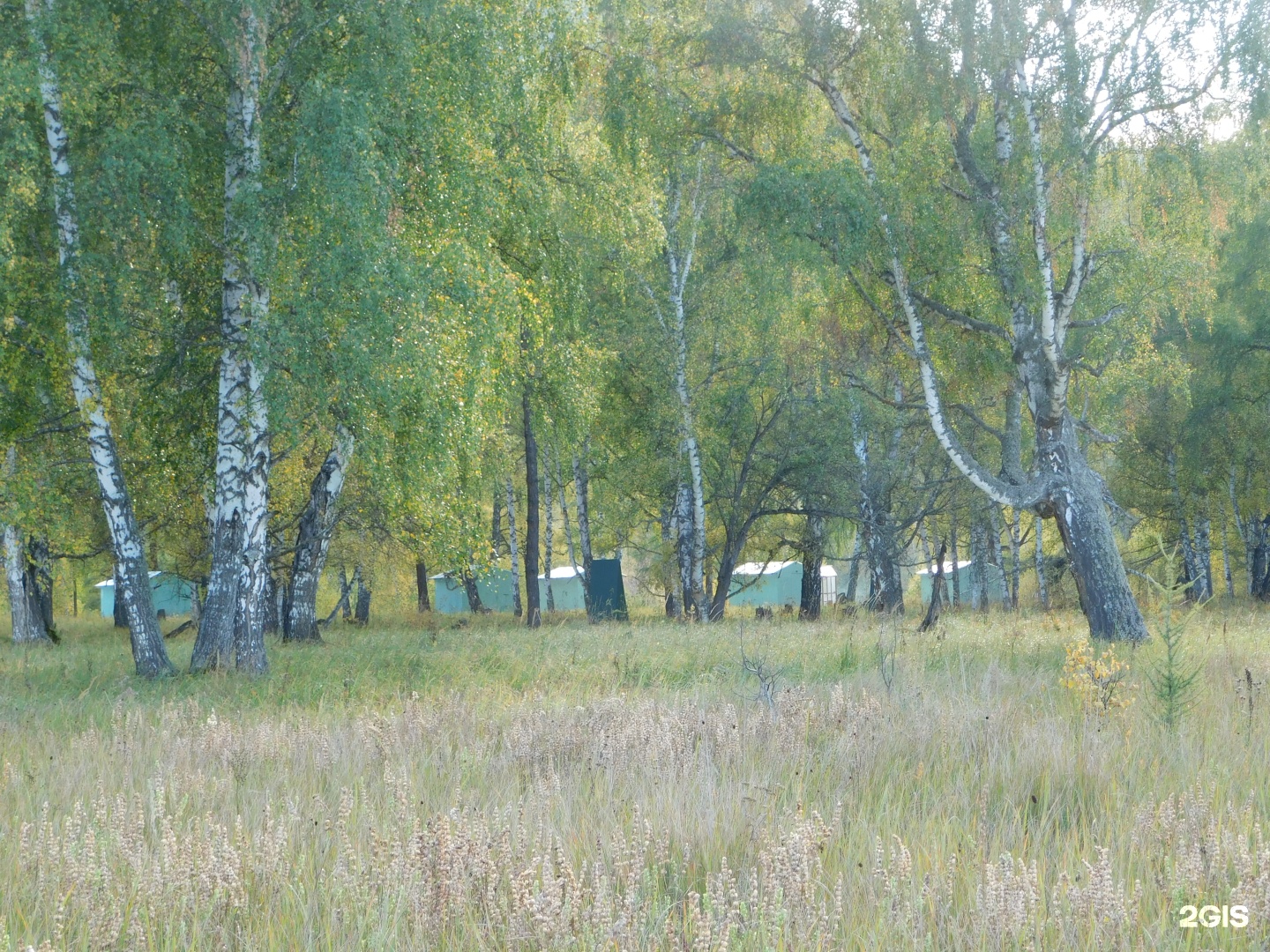 Огонёк - фото 40