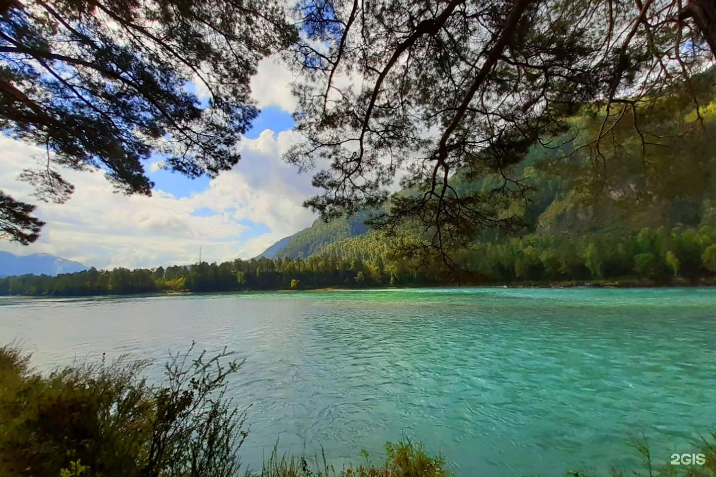 Сердце Чемала - фото 3