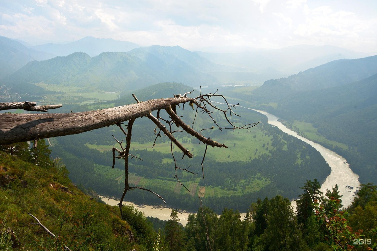 Сердце Чемала - фото 4