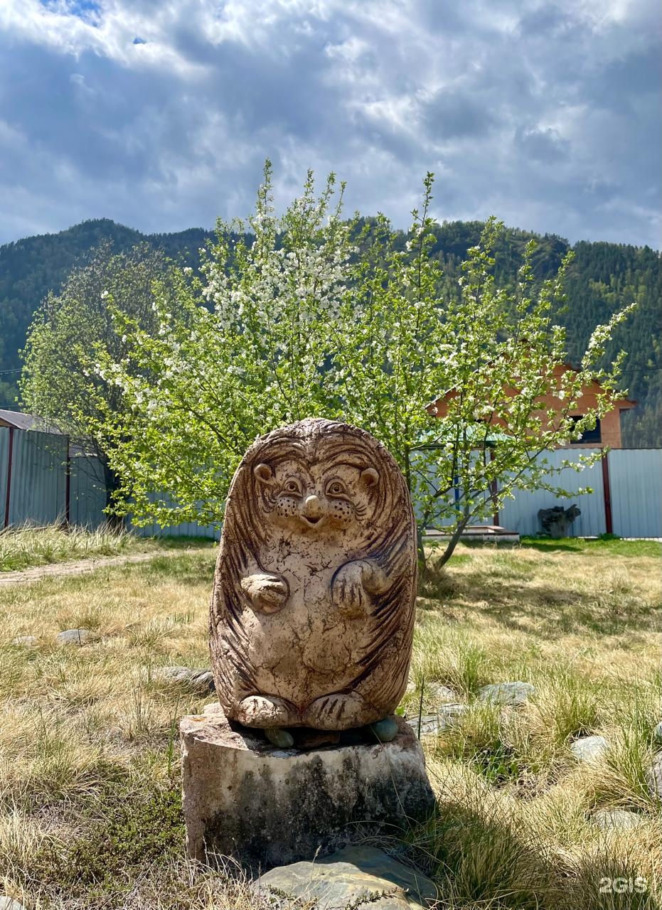 Сердце Чемала - фото 21