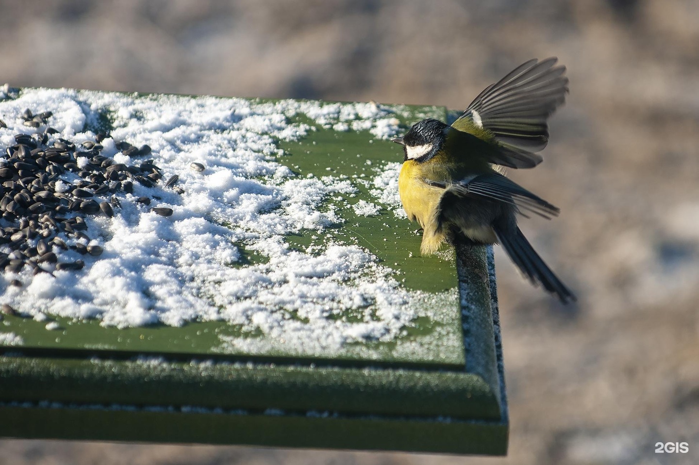Сердце Чемала - фото 29