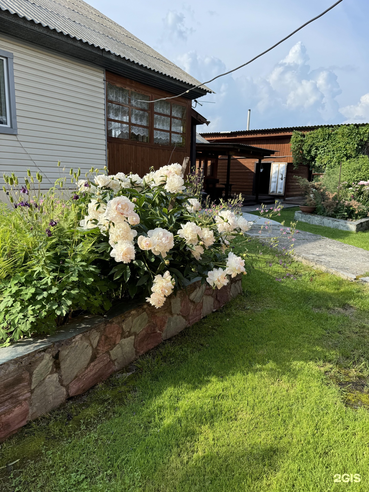 Тайга Drevo - фото 5