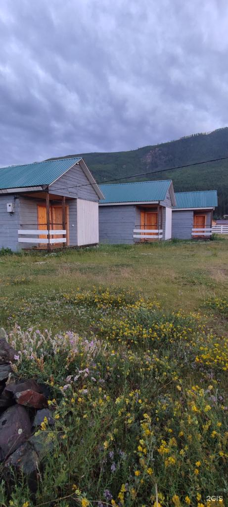 В горах Алтая - фото 2