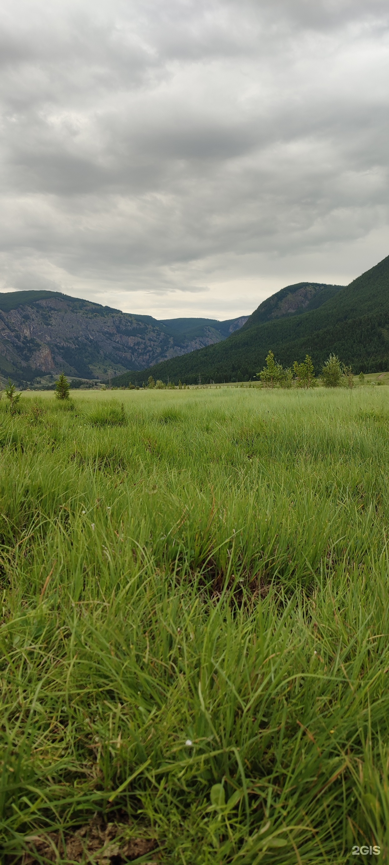 В горах Алтая - фото 30