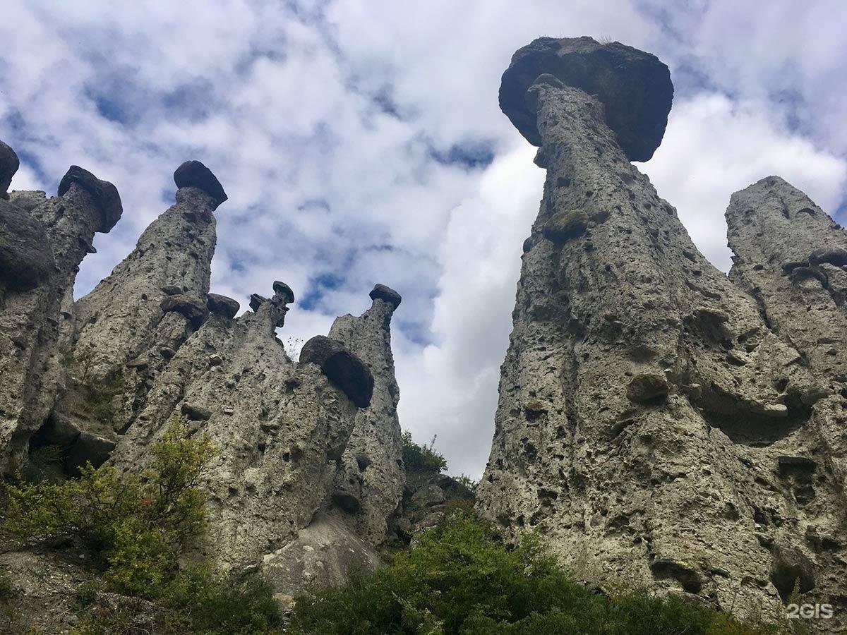 В горах Алтая - фото 37