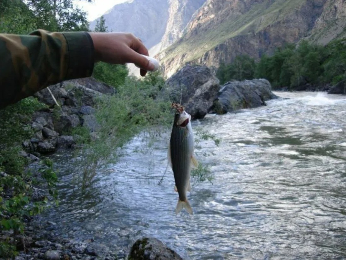 ООО "ВИТА" - фото 1