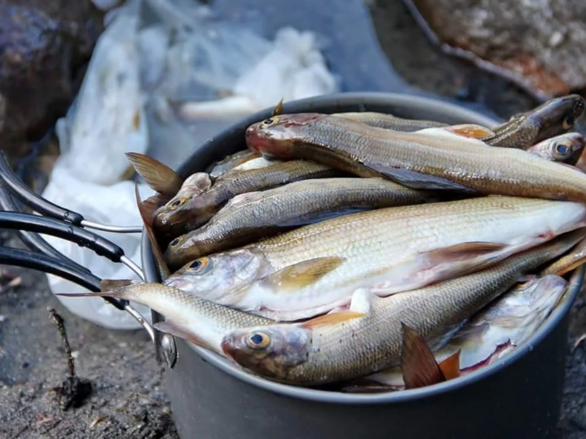 ООО "ВИТА" - фото 2