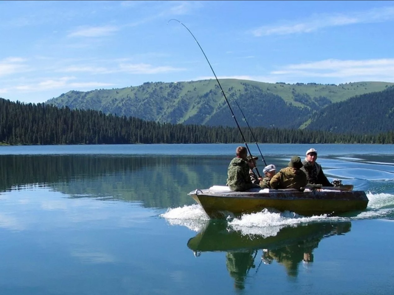 ООО "ВИТА" - фото 3