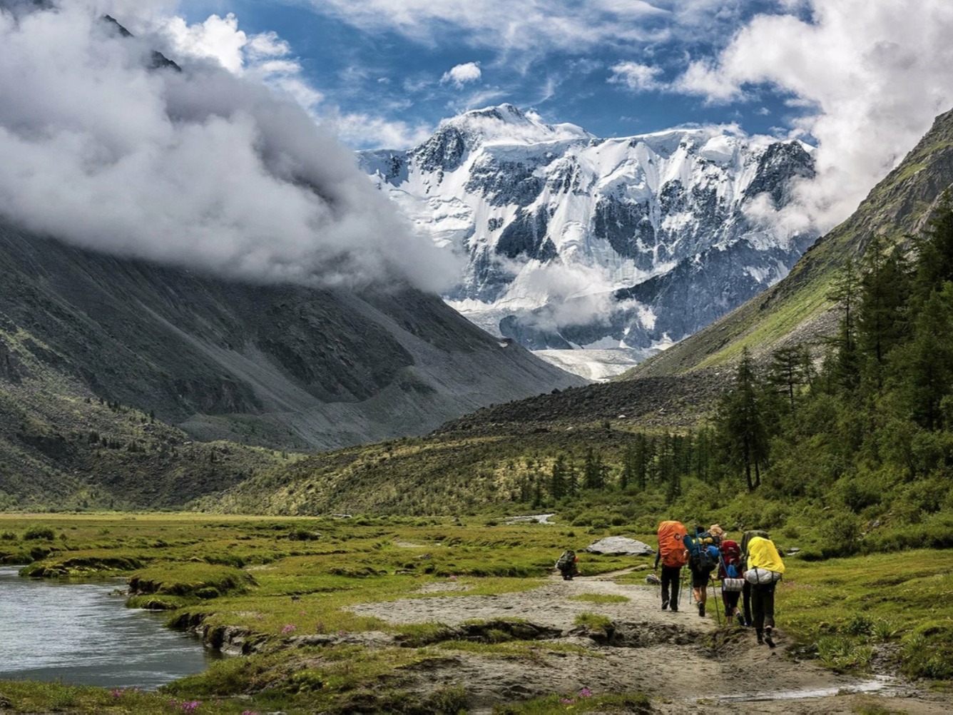 ООО "ВИТА" - фото 4