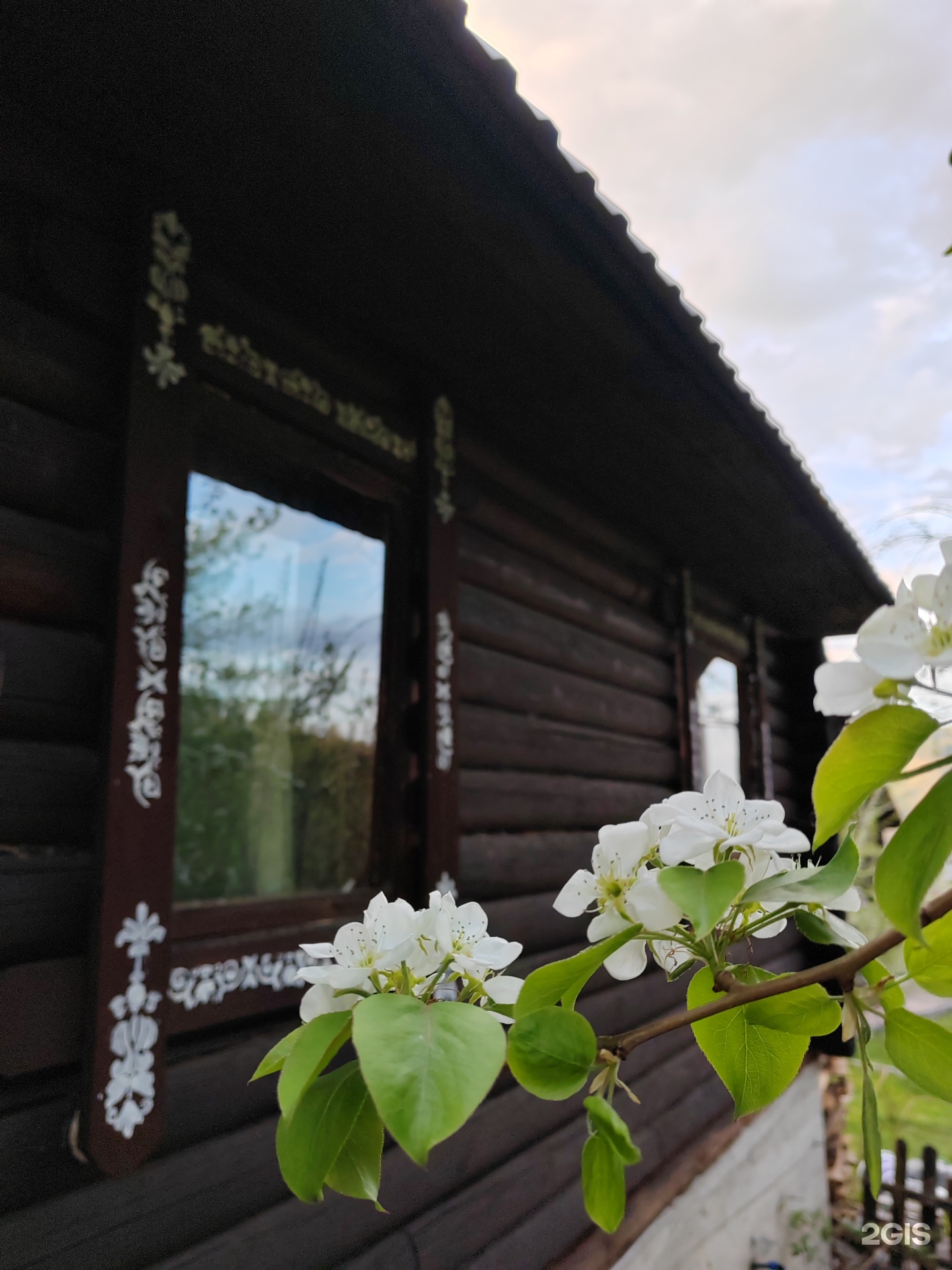 Алтай-Горы - фото 10