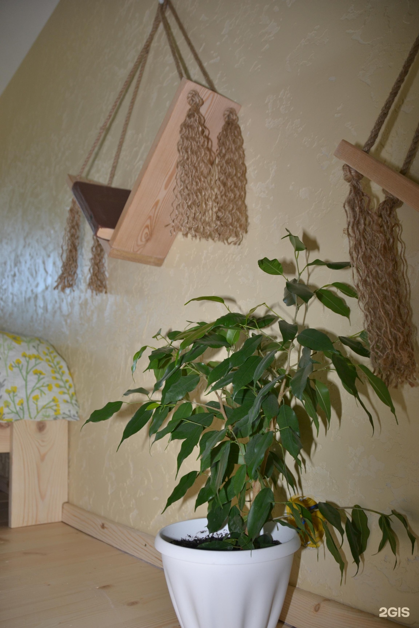 Алтай-Горы - фото 17