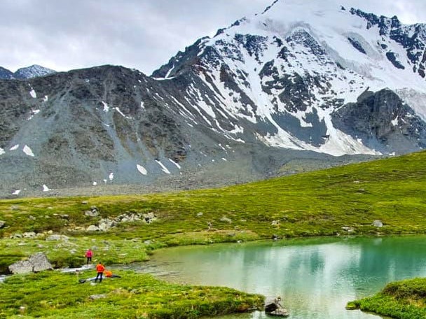 ООО АЛТАЙ ШУУДАН - фото 5