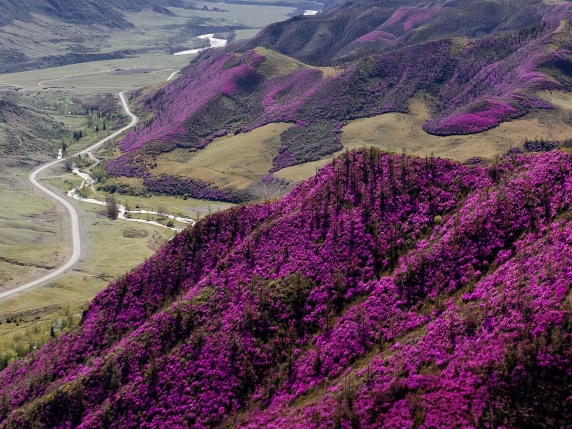 ООО "АЛТАЙ СПИРИТС" - фото 4