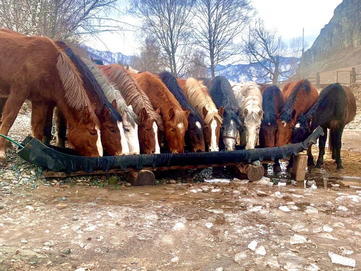 ООО "ИТКАЯ" - фото 1