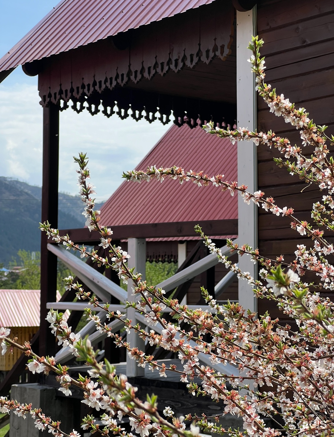 Пригорье Аюла - фото 8