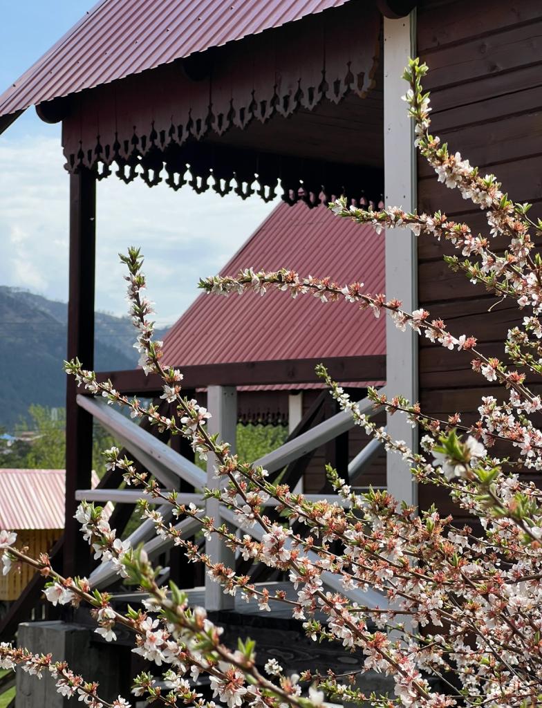 Пригорье Аюла - фото 8