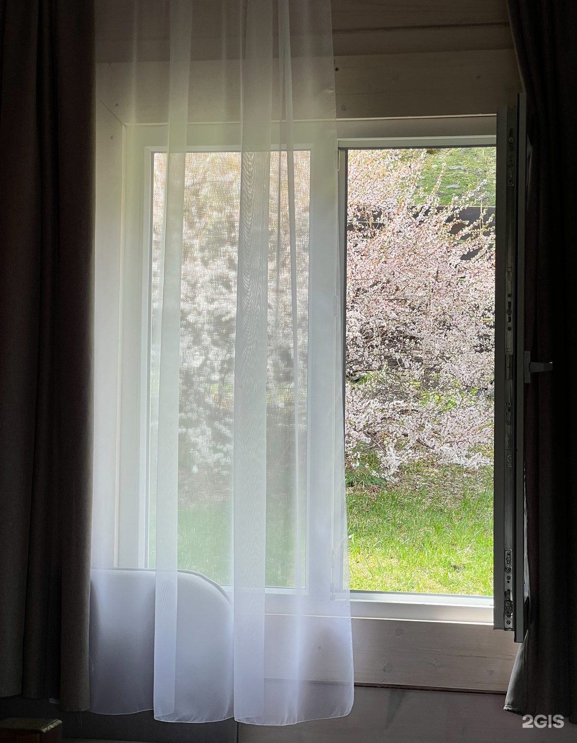 Пригорье Аюла - фото 21