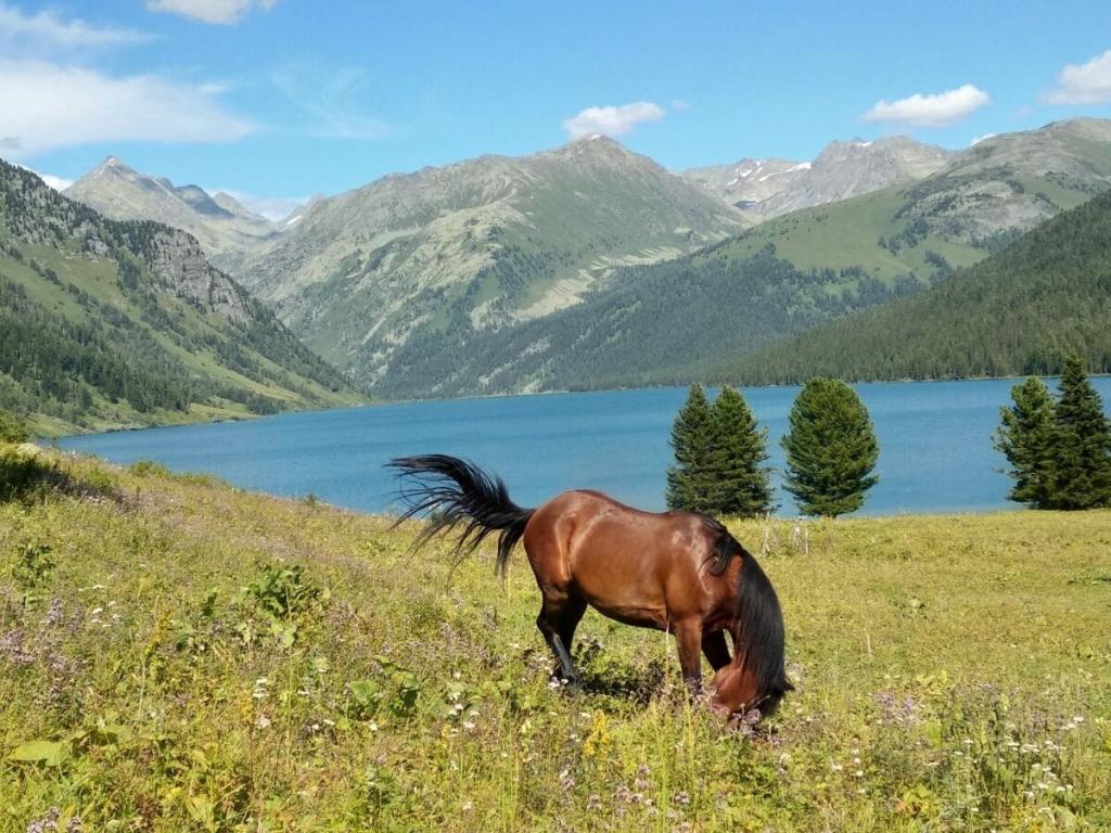 Тайменье озеро - фото 5