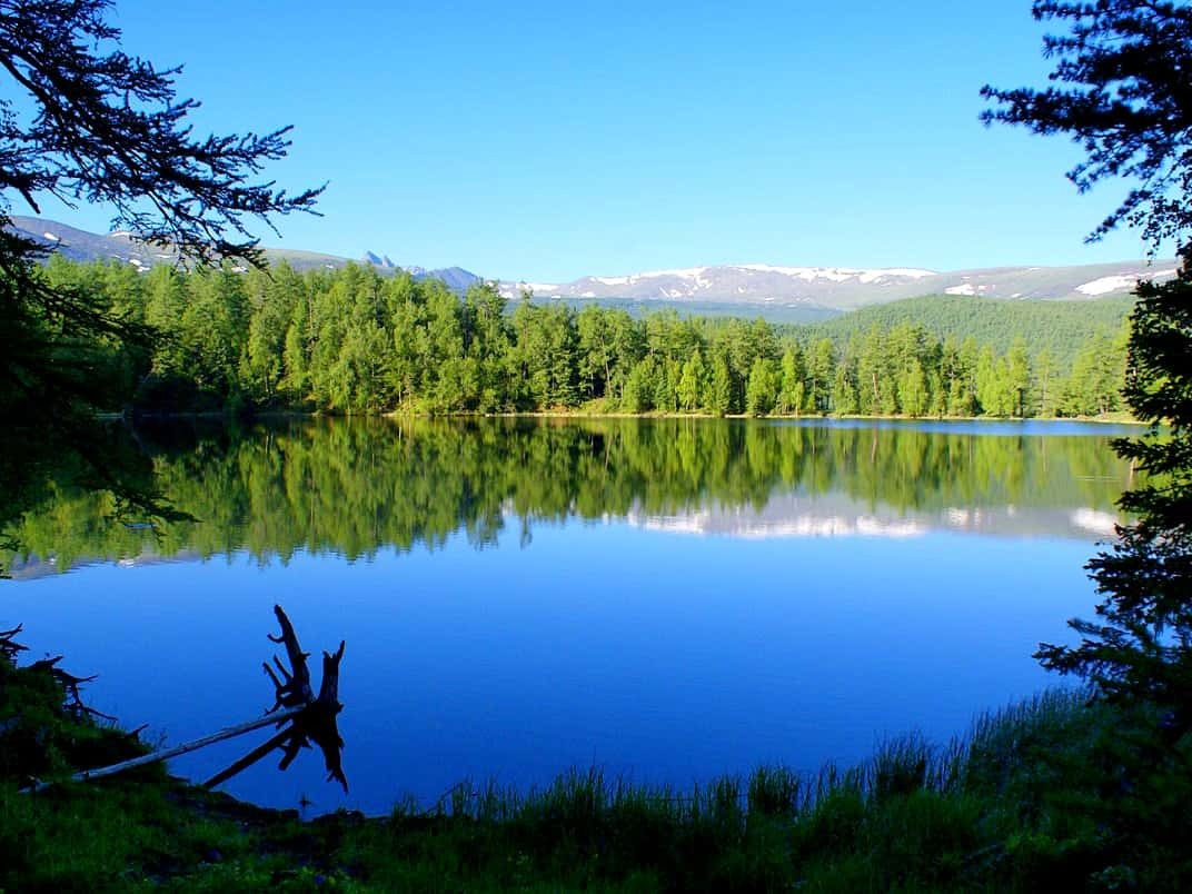 Теньгинское озеро - фото 4