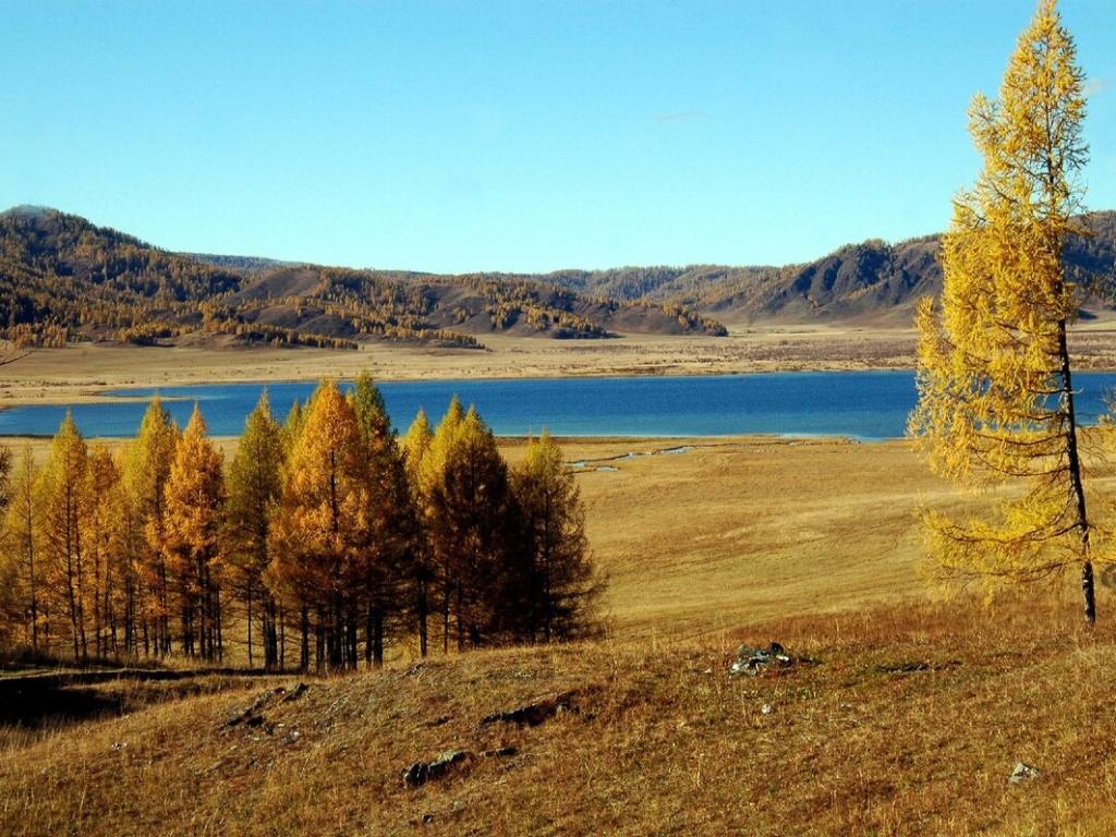 Теньгинское озеро - фото 5