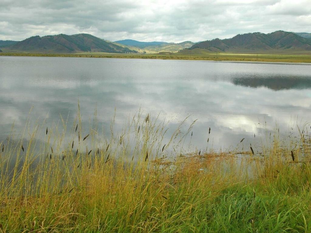 Теньгинское озеро - фото 6