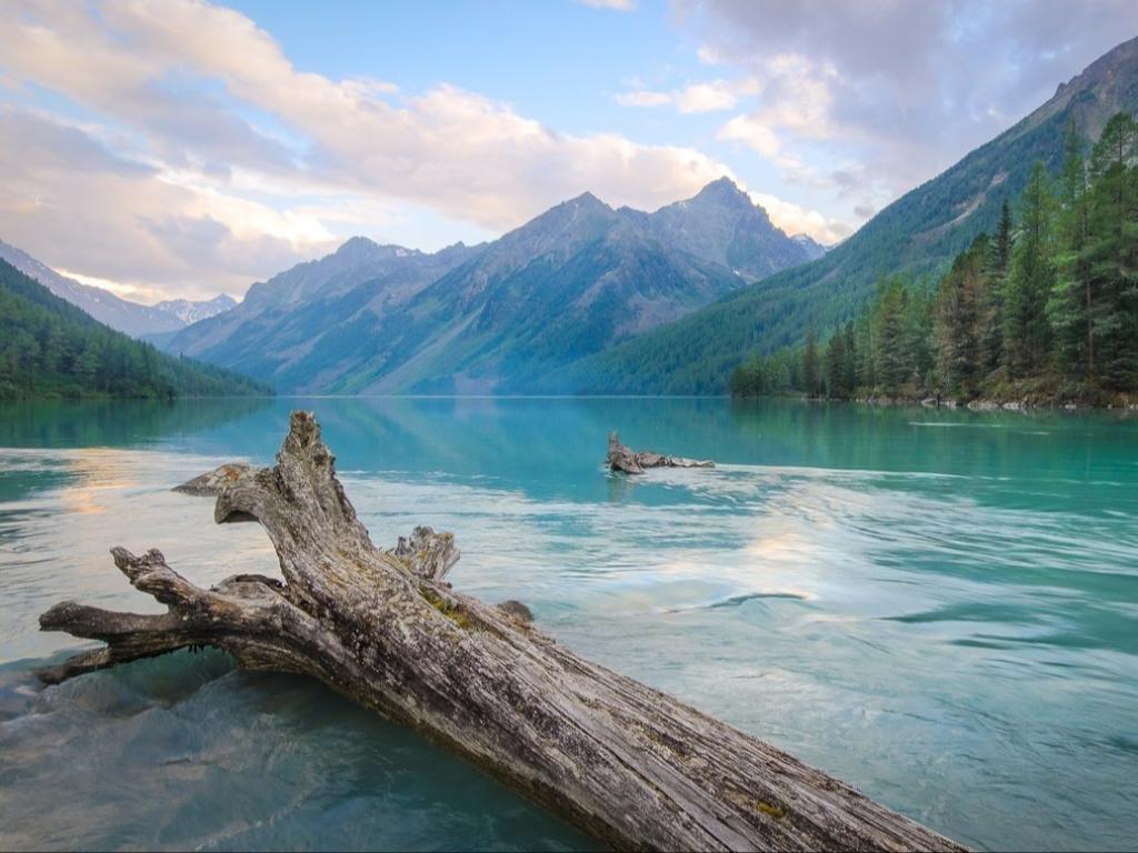 Кучерлинское озеро - фото 6