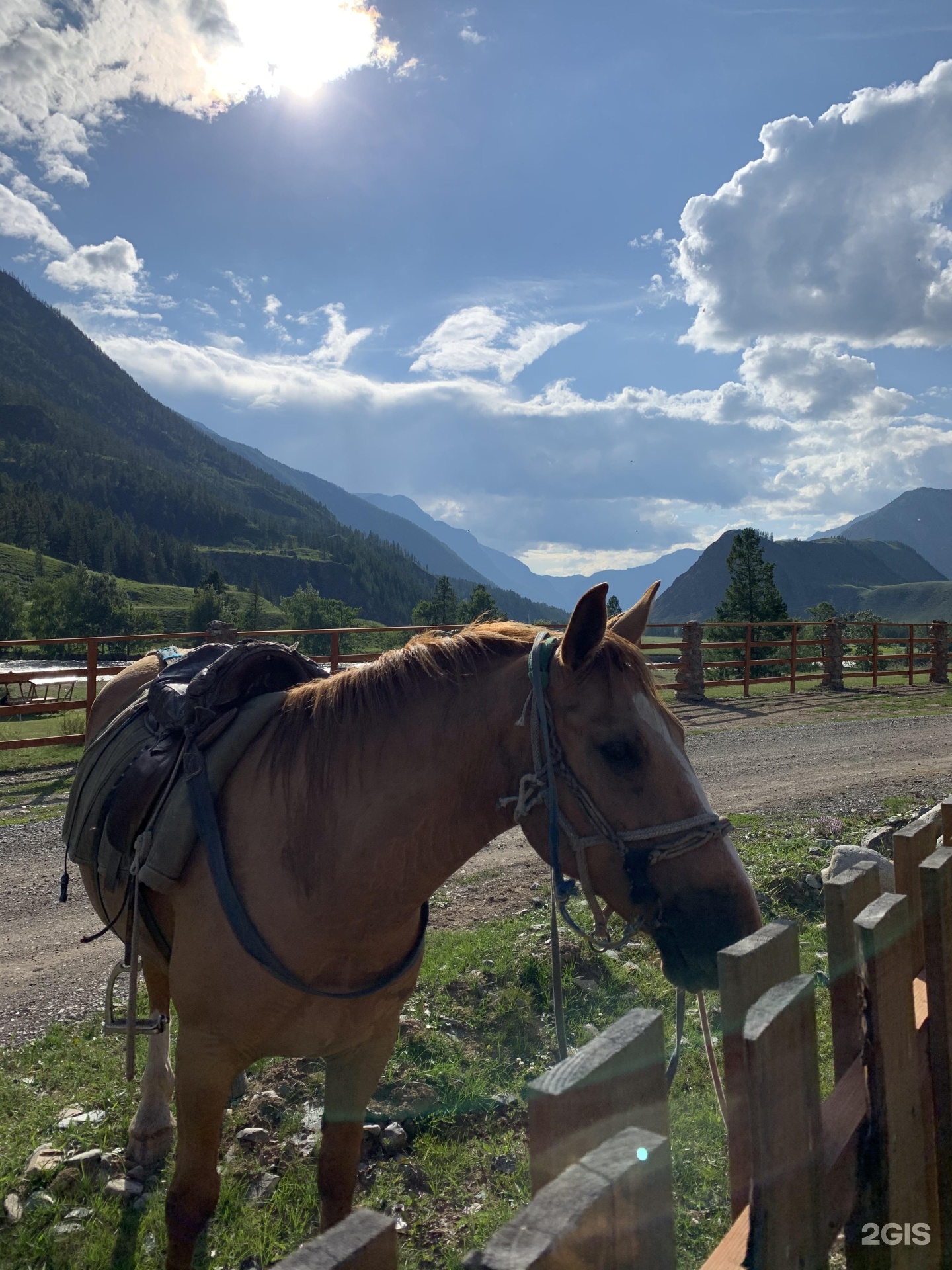 Шавло - фото 2
