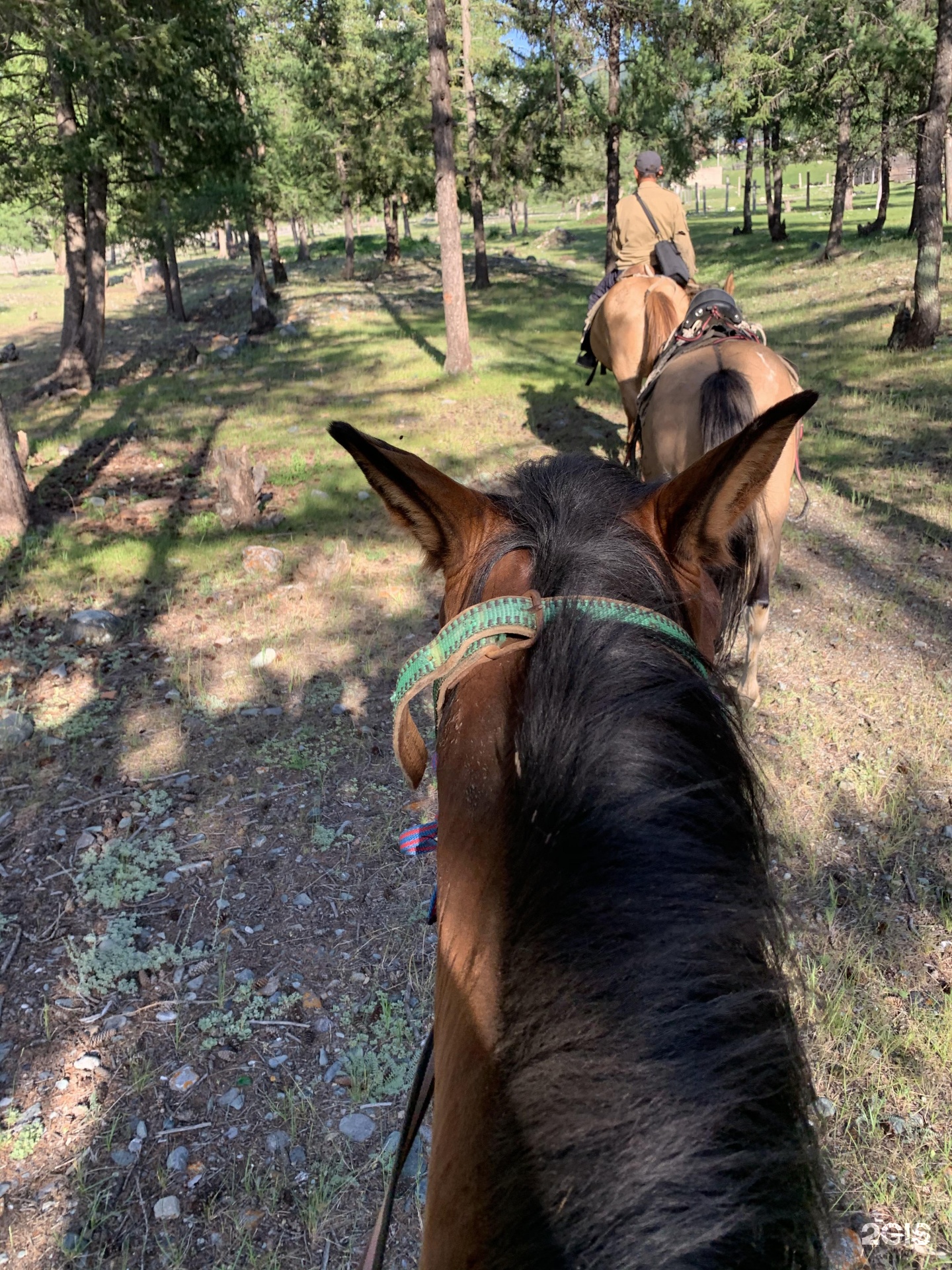 Шавло - фото 4