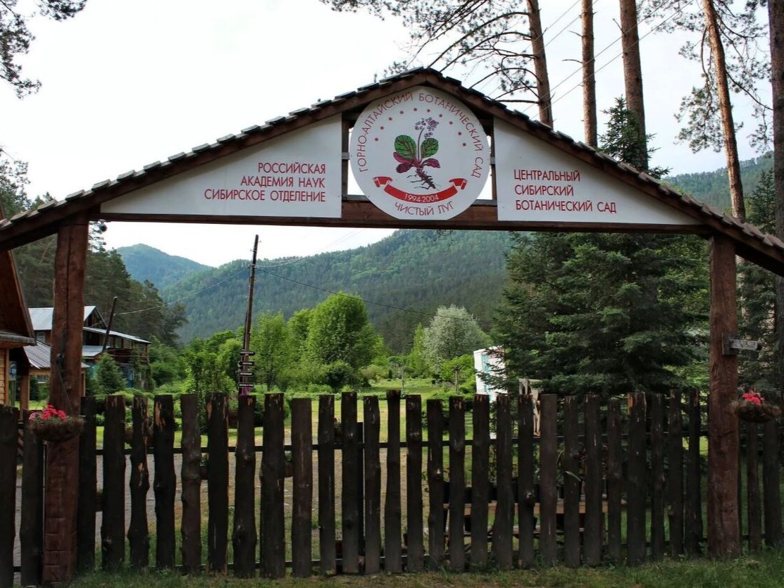 Ботанический сад - фото 1