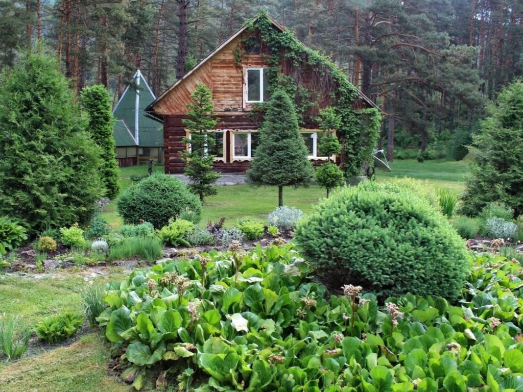 Ботанический сад - фото 2