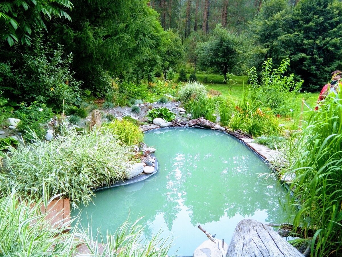 Ботанический сад - фото 4