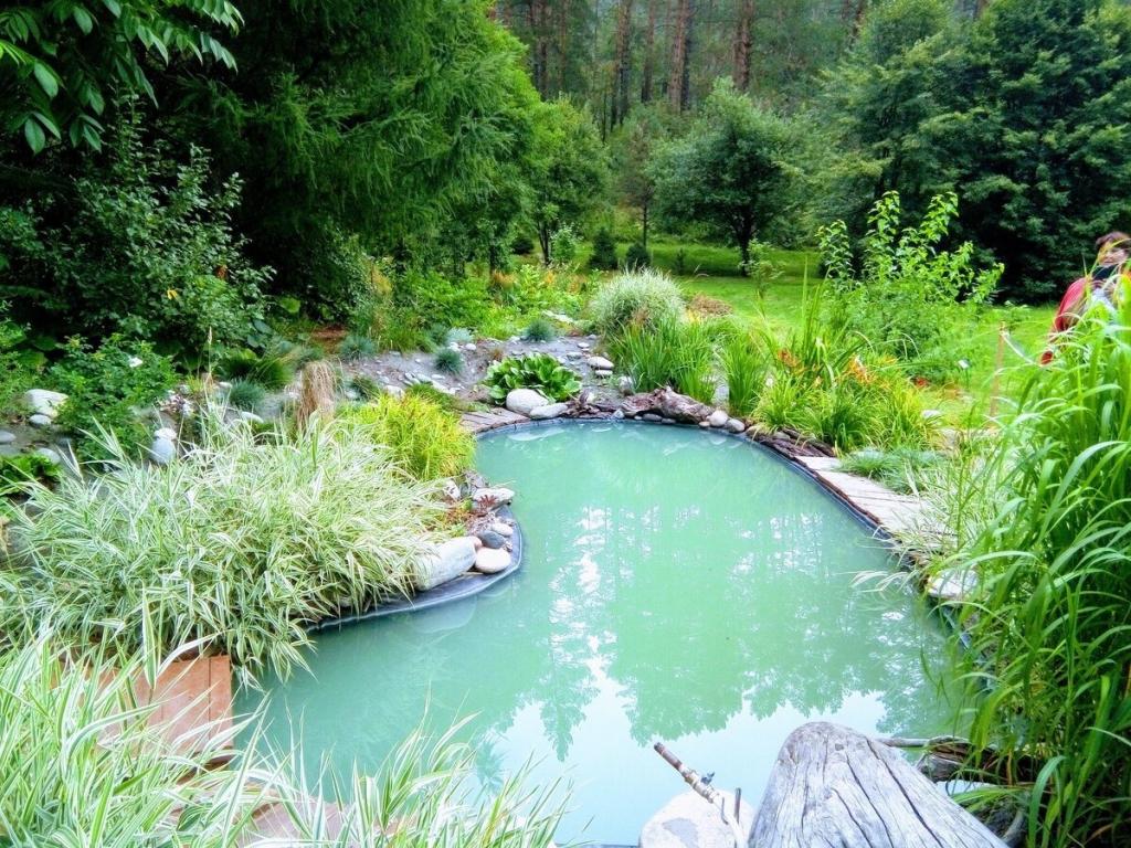 Ботанический сад - фото 4