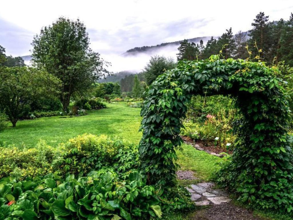 Ботанический сад - фото 6