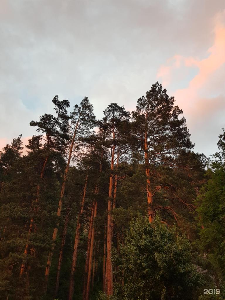 Иванова дача - фото 7