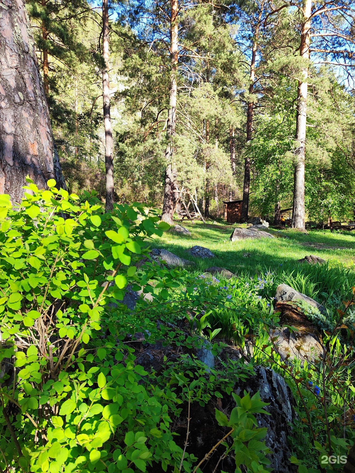 Иванова дача - фото 14