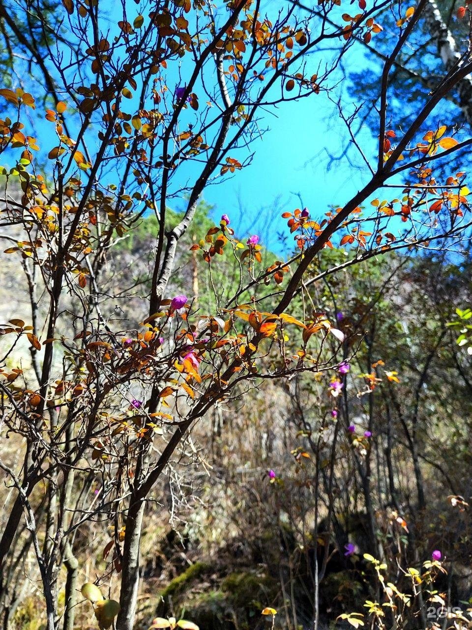 Иванова дача - фото 24