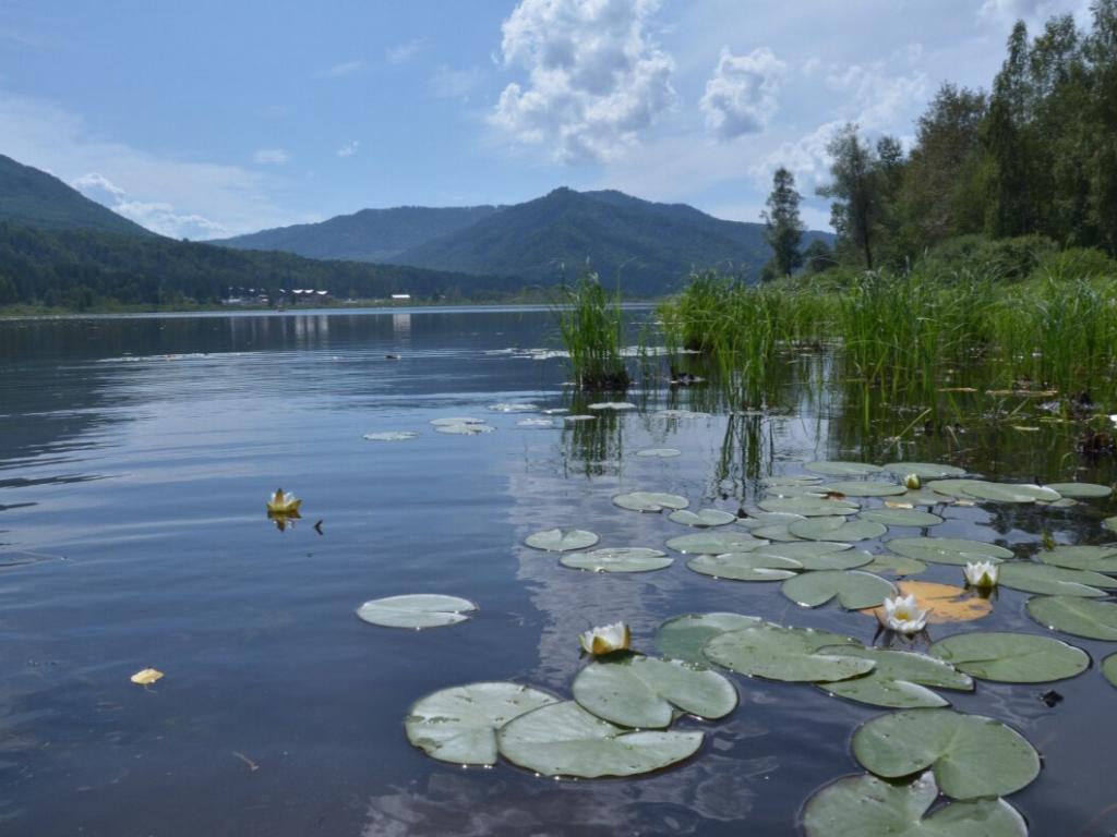 Манжерокское озеро - фото 3