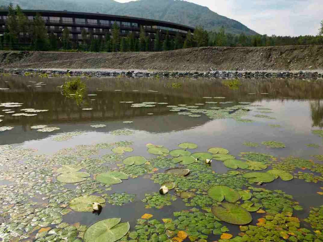 Манжерокское озеро - фото 7