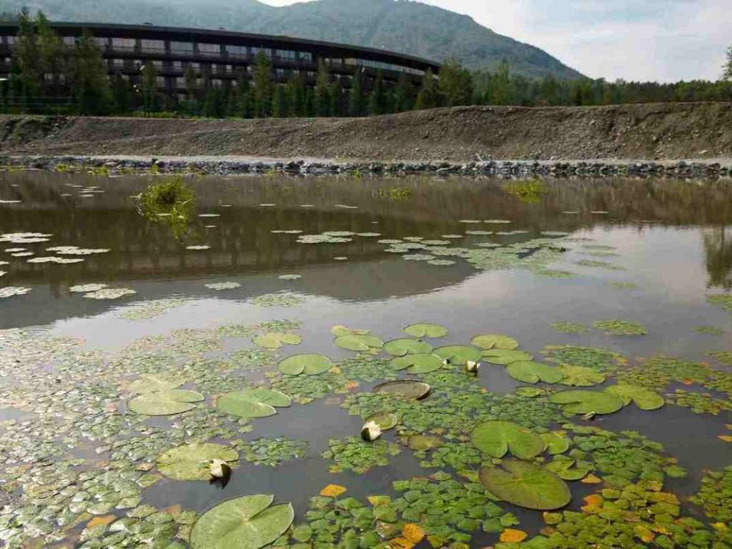 Манжерокское озеро - фото 7